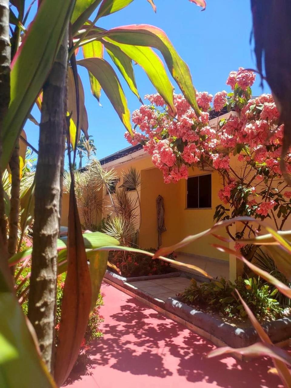 Hotel Porto Garden Porto Seguro Exteriér fotografie